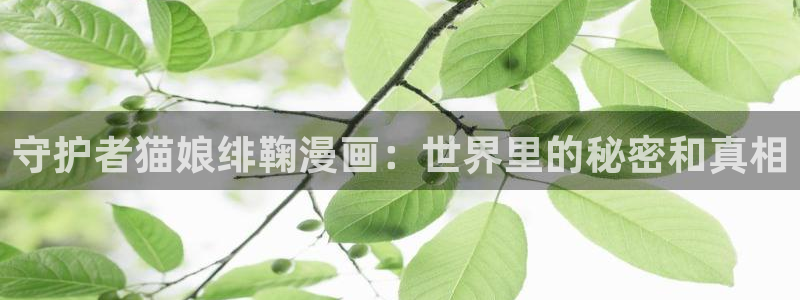 耽美漫画在线观看