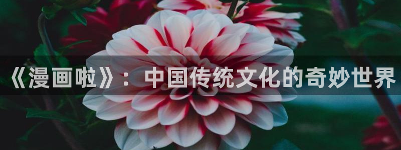 耽美漫画全部免费观看
