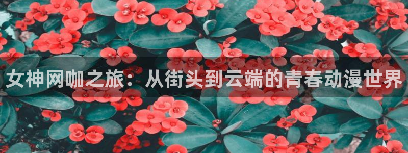 耽美漫画有哪些