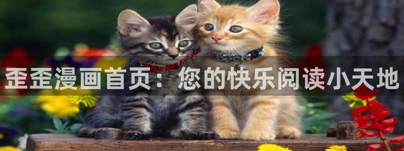 耽美漫画免费看