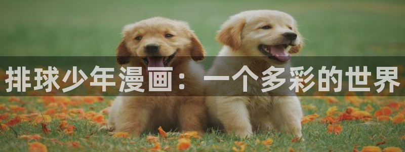 耽美漫画有哪些
