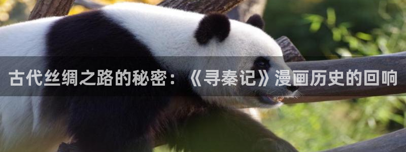 耽美漫画在线观看